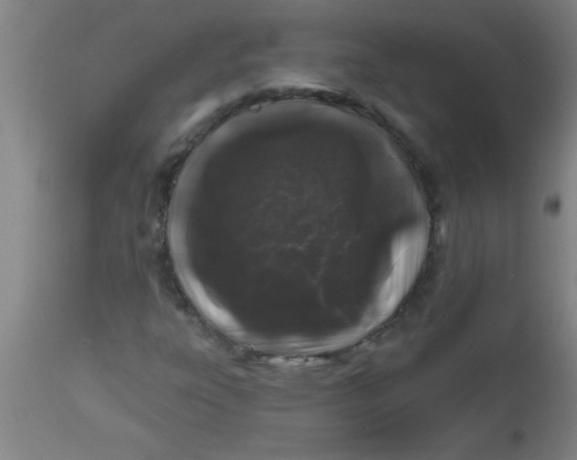 X0000112521303200909071323