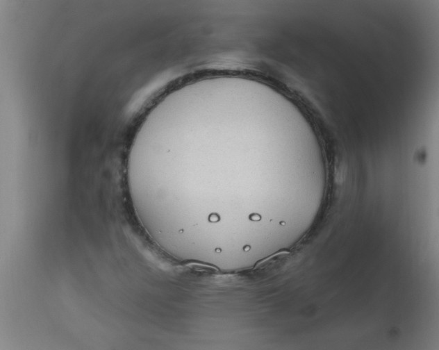 X0000112521304200909071323