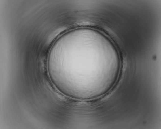 X0000112521305200909071323