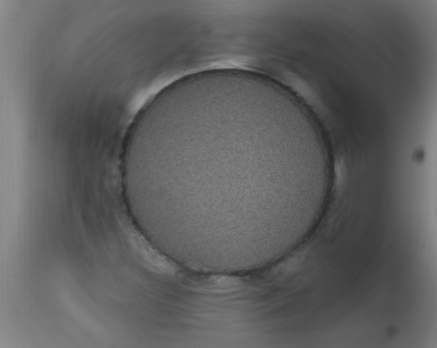 X0000112521308200909071323