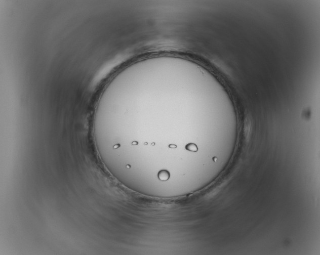X0000112521309200909071323