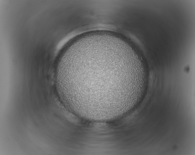 X0000112521310200909071323