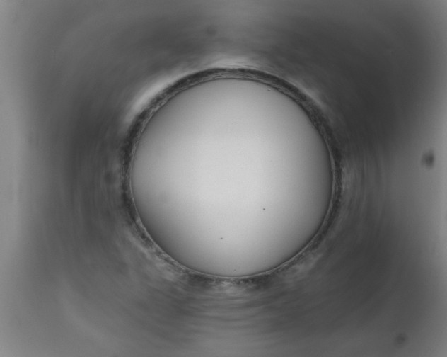 X0000112521311200909071323