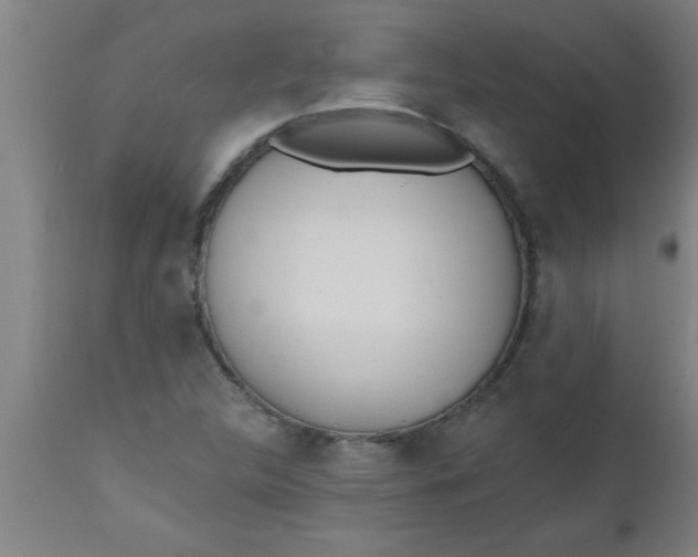 X0000112521312200909071324