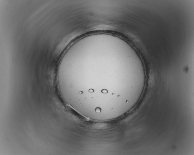 X0000112521313200909071324