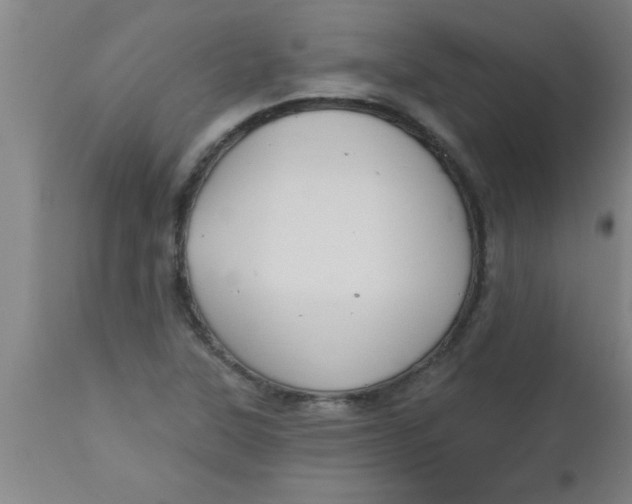 X0000112521315200909071324