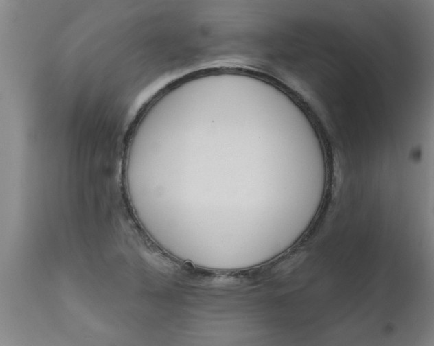 X0000112521316200909071324