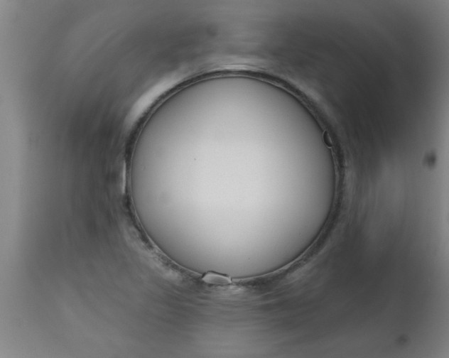 X0000112521317200909071324