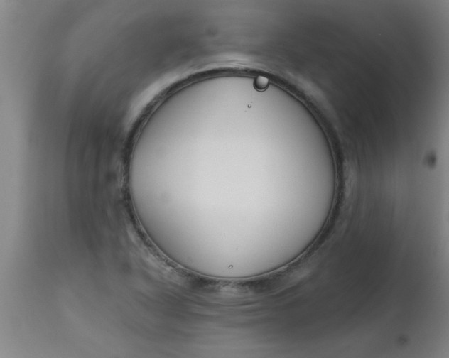 X0000112521318200909071324