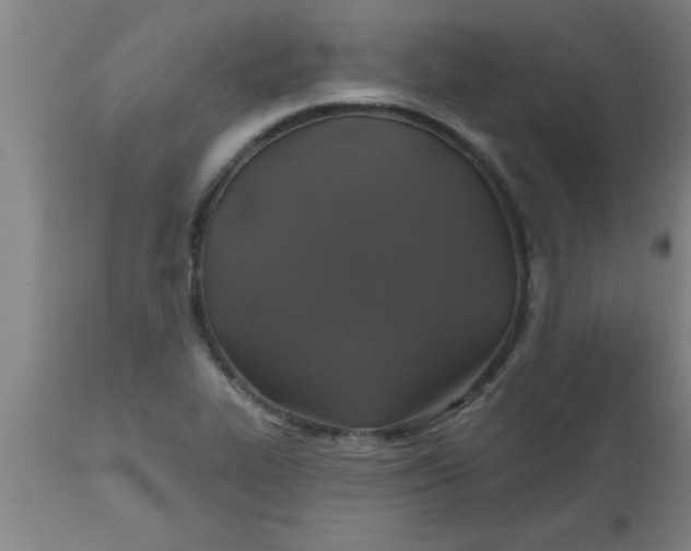 X0000112521319200909071324