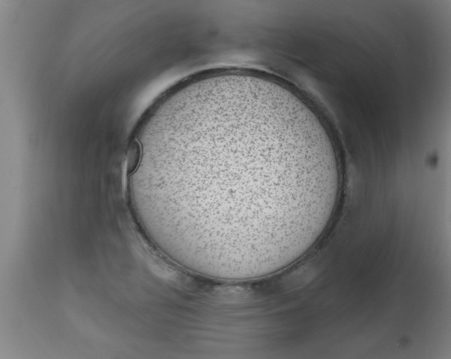 X0000112521320200909071324