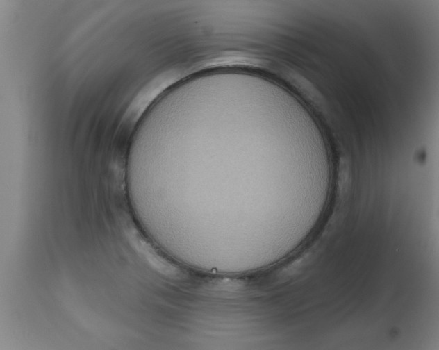 X0000112521321200909071324