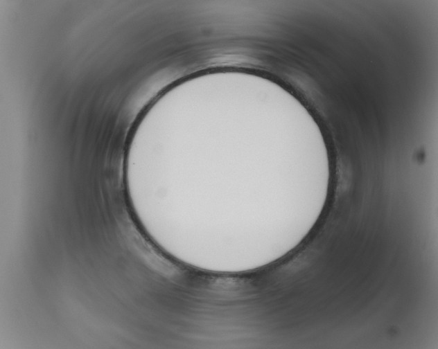 X0000112521322200909071324