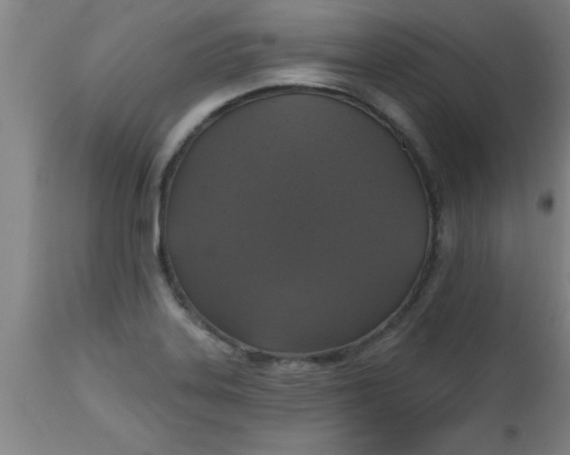 X0000112521323200909071324