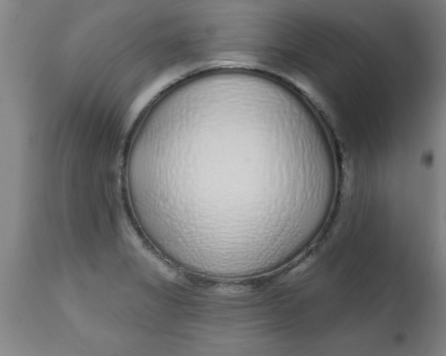X0000112521325200909071324
