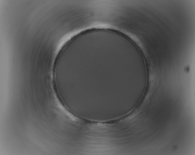 X0000112521327200909071324