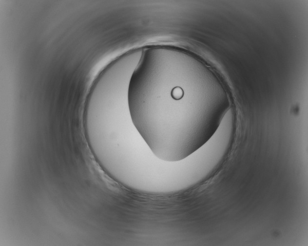X0000112521328200909071324
