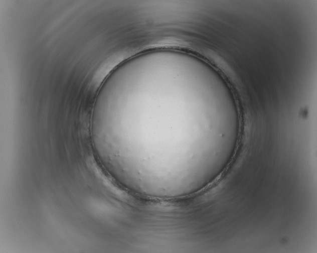 X0000112521329200909071324