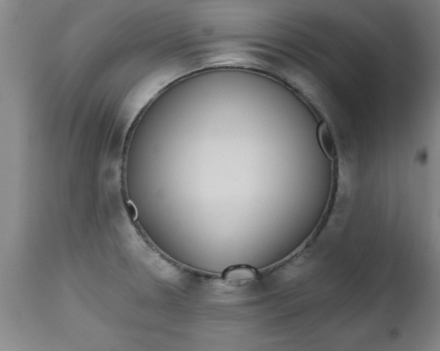X0000112521330200909071324