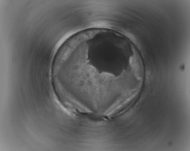 X0000112521331200909071324