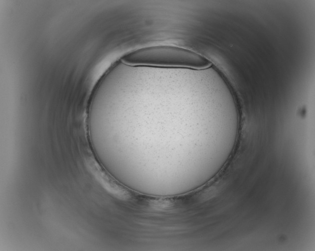 X0000112521332200909071324