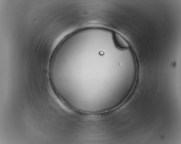 X0000112521333200909071324