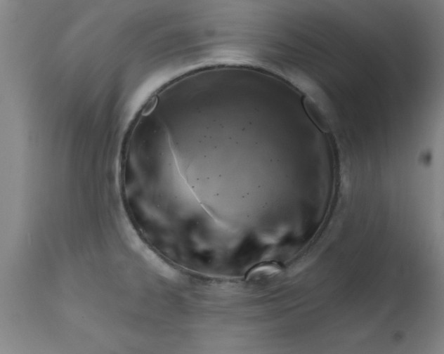 X0000112521334200909071324