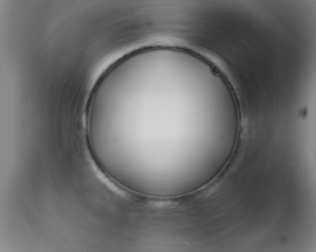 X0000112521335200909071324