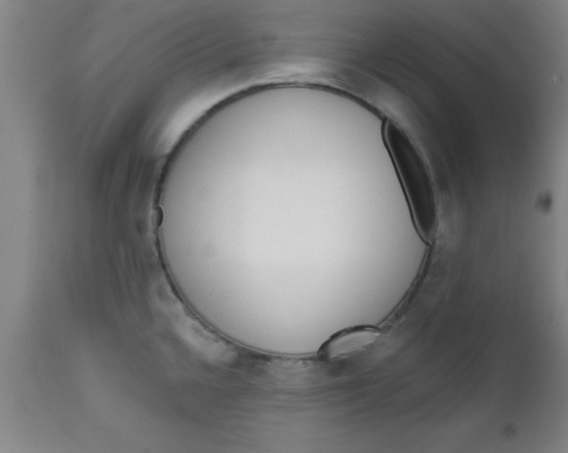 X0000112521336200909071324