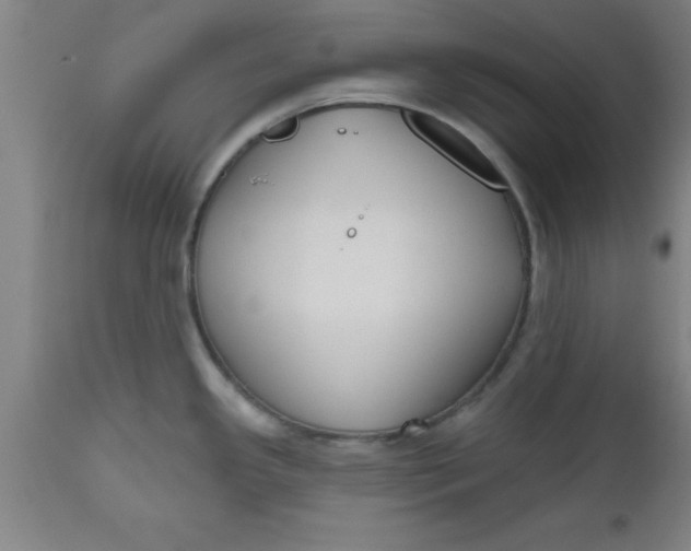 X0000112521341200909071324