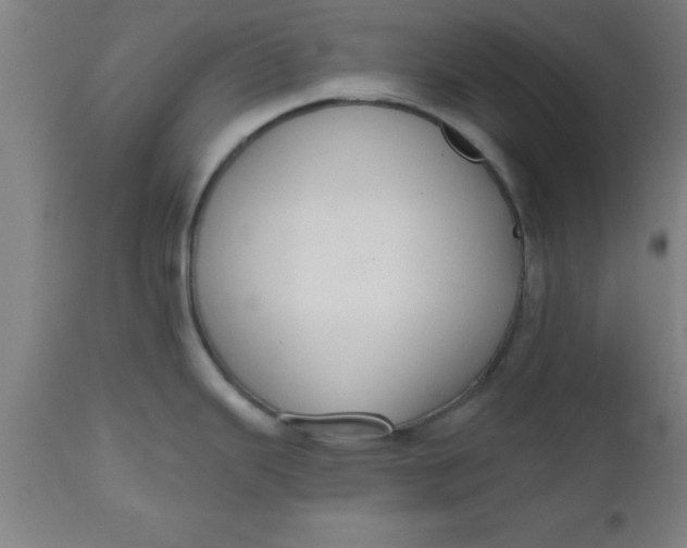 X0000112521343200909071324