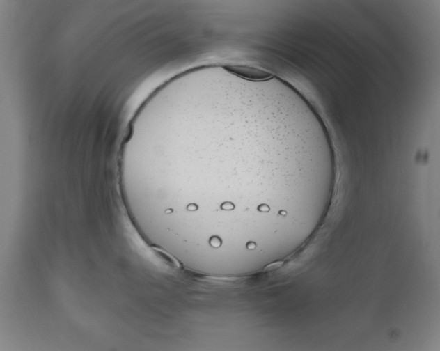 X0000112521344200909071324