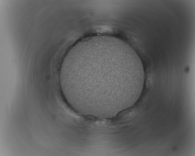 X0000112521345200909071323