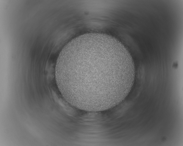 X0000112521346200909071323