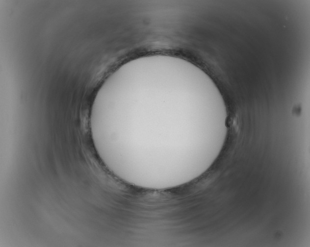X0000112521348200909071323