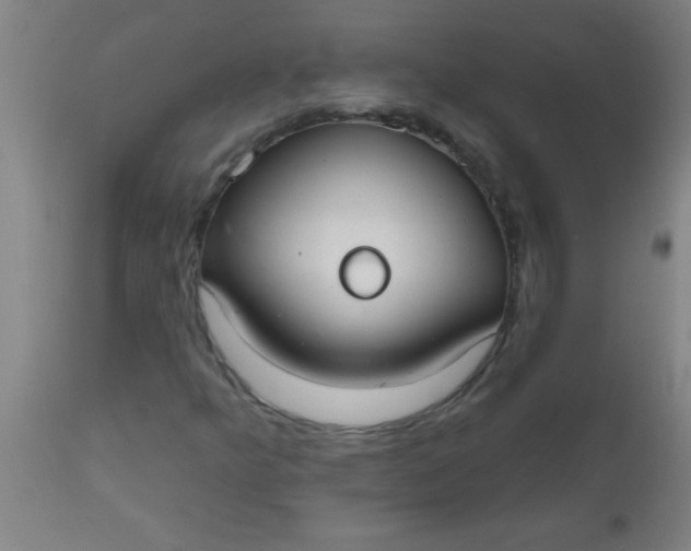 X0000112521349200909071323