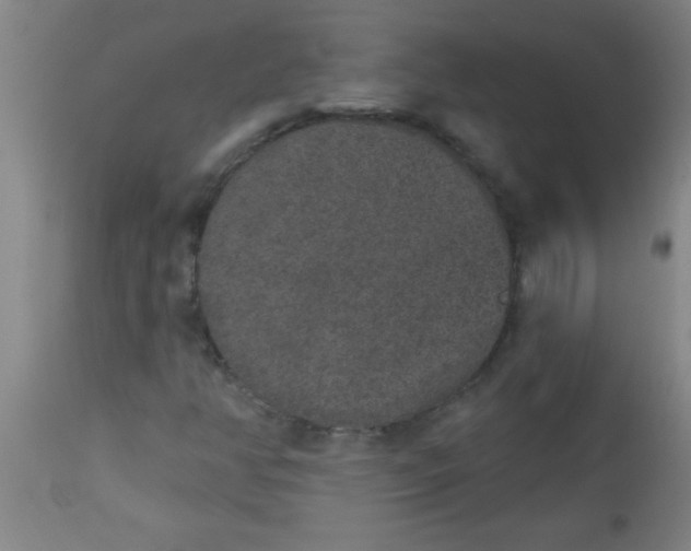 X0000112521350200909071323