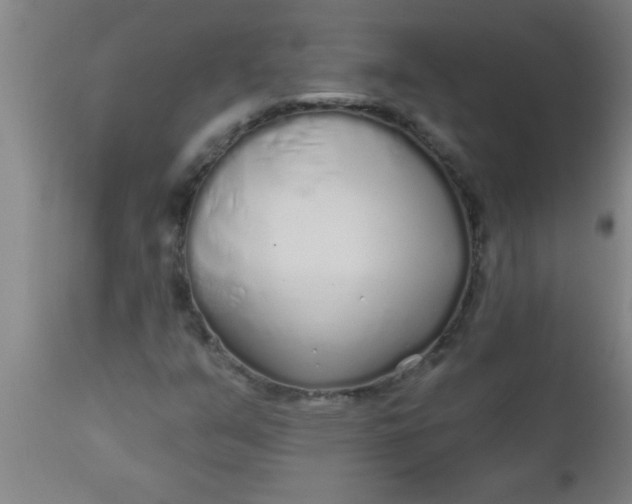 X0000112521351200909071323