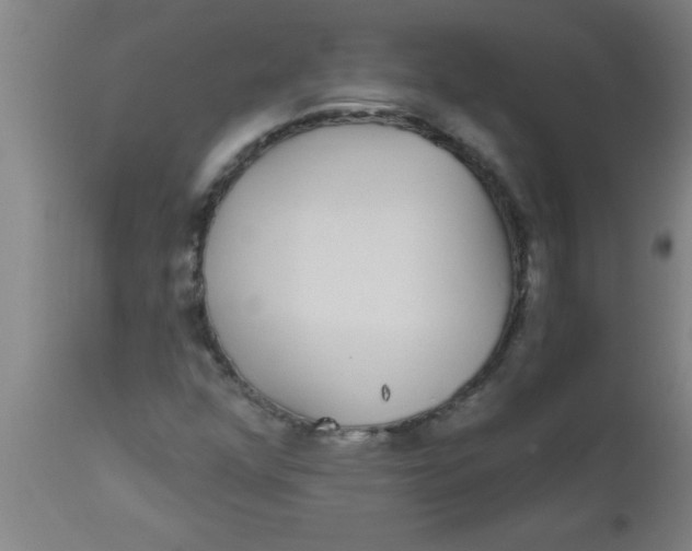 X0000112521352200909071323