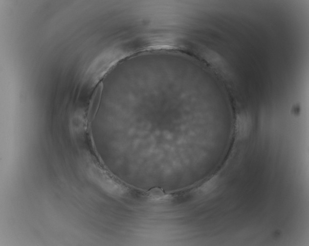 X0000112521353200909071323