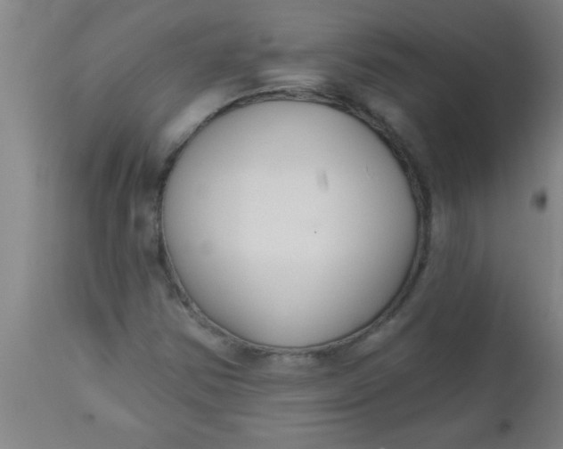 X0000112521354200909071323