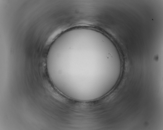 X0000112521355200909071323