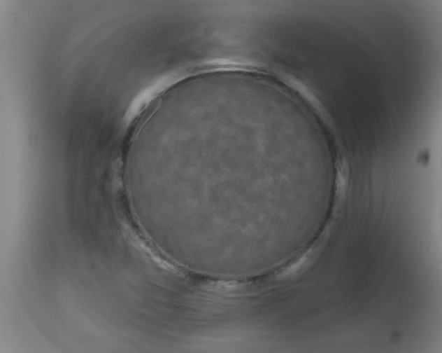 X0000112521357200909071323