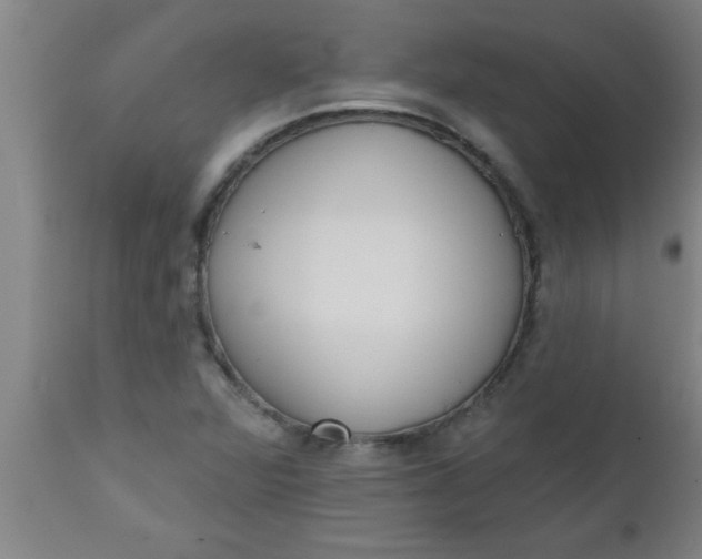 X0000112521360200909071323