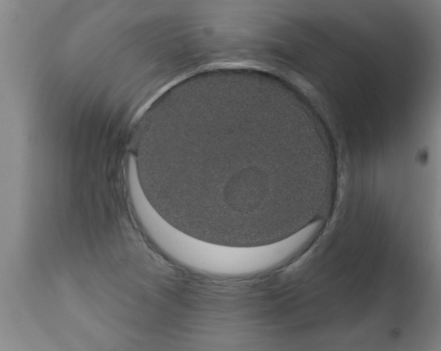 X0000112521361200909071323