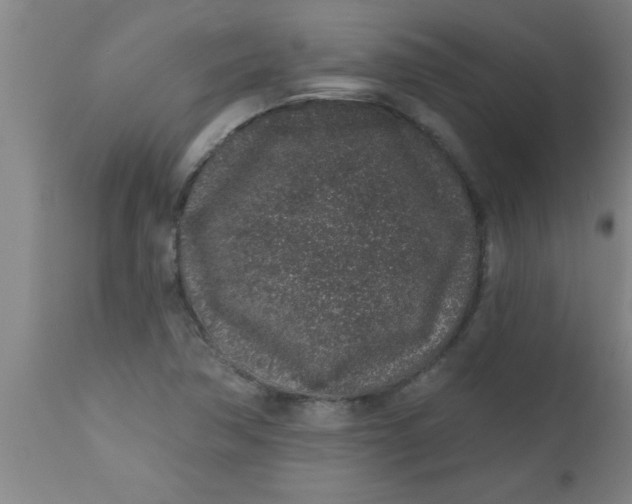 X0000112521362200909071323