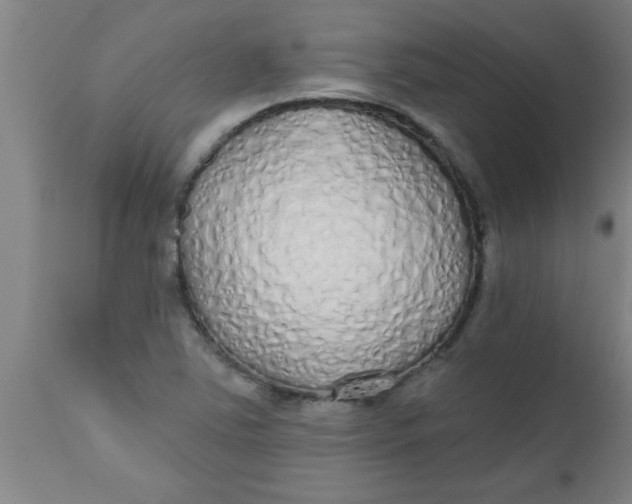 X0000112521363200909071323