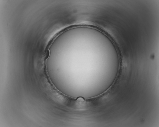 X0000112521364200909071323