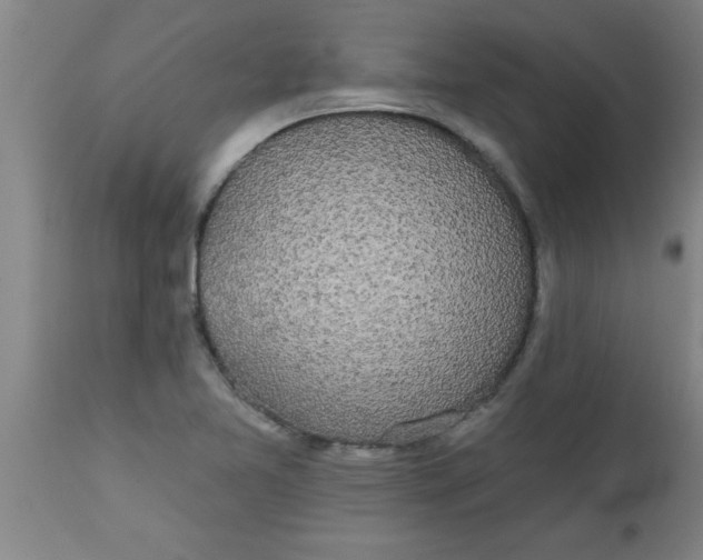 X0000112521365200909071323