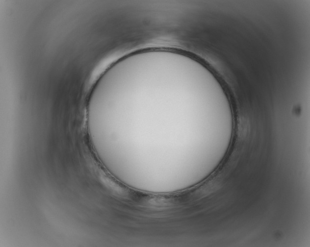X0000112521366200909071323
